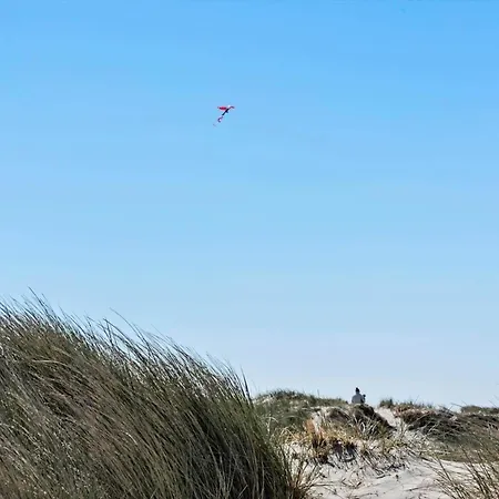 459-hvide-sande-tingodden-437