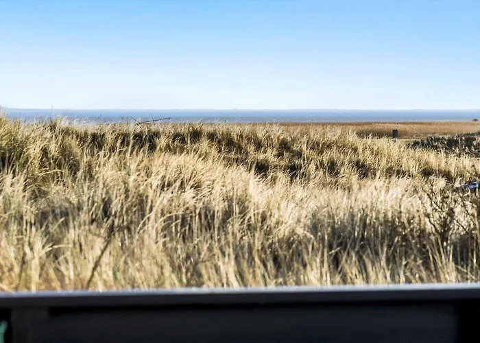 459-hvide-sande-tingodden-437 別荘 ヴィデ・サンデ