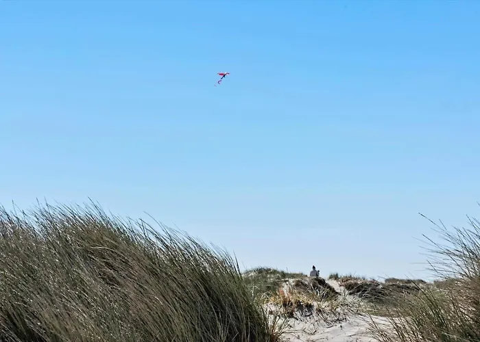 459-hvide-sande-tingodden-437